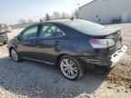 2010 Lexus HS 250H