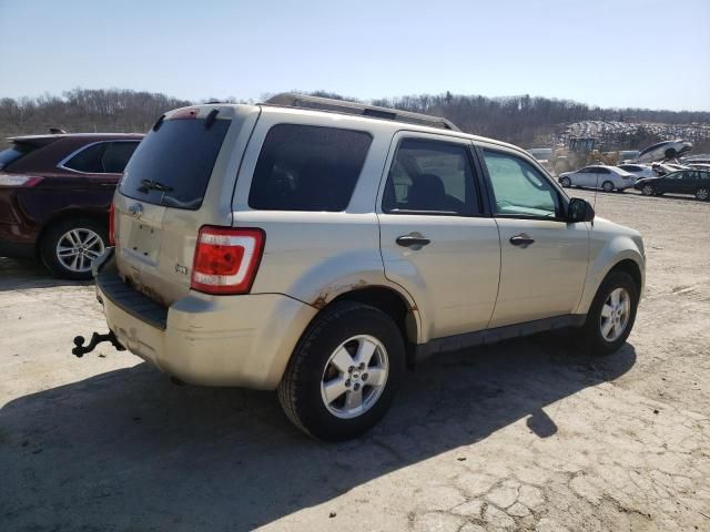 2011 Ford Escape XLT