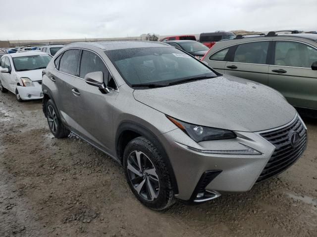 2021 Lexus NX 300H Base