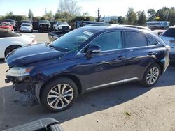 Vehiculos salvage en venta de Copart San Martin, CA: 2013 Lexus RX 350