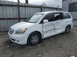 Salvage cars for sale at Los Angeles, CA auction: 2006 Honda Odyssey EXL