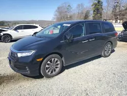 Salvage cars for sale at Concord, NC auction: 2021 Honda Odyssey EXL