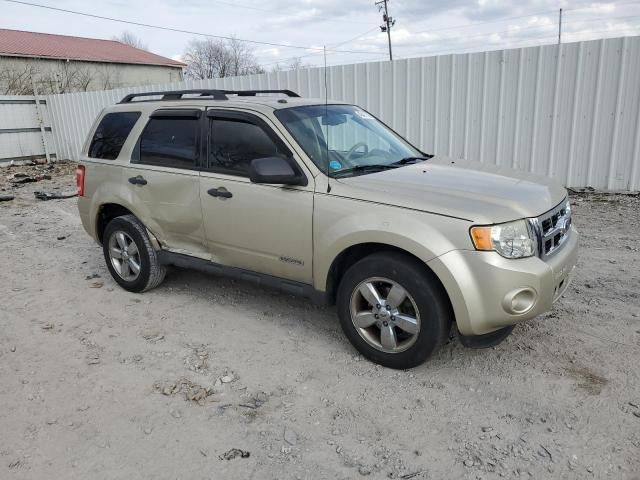 2010 Ford Escape XLT