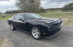 Salvage cars for sale at Apopka, FL auction: 2009 Dodge Challenger SE