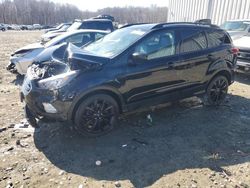 Salvage cars for sale at Windsor, NJ auction: 2019 Ford Escape SE