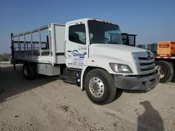 Salvage trucks for sale at Temple, TX auction: 2019 Hino 268A Flatbed Truck