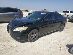 Salvage cars for sale from Copart Taylor, TX: 2010 Toyota Camry Base