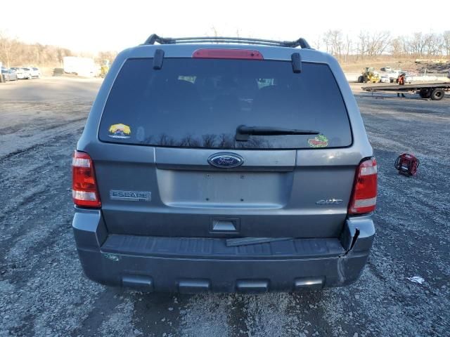 2010 Ford Escape XLT