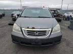 2010 Honda Odyssey DX