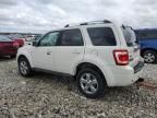 2010 Ford Escape Limited