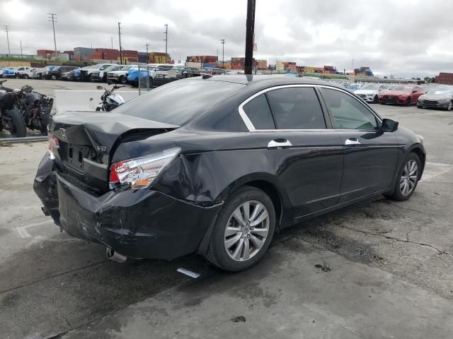 2011 Honda Accord EXL