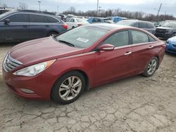 Salvage cars for sale at Indianapolis, IN auction: 2012 Hyundai Sonata SE