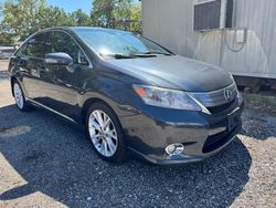 Lexus salvage cars for sale: 2010 Lexus HS 250H