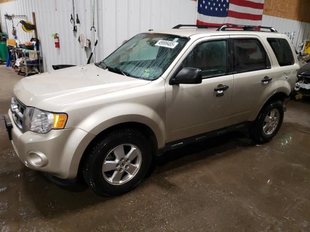 2011 Ford Escape XLT