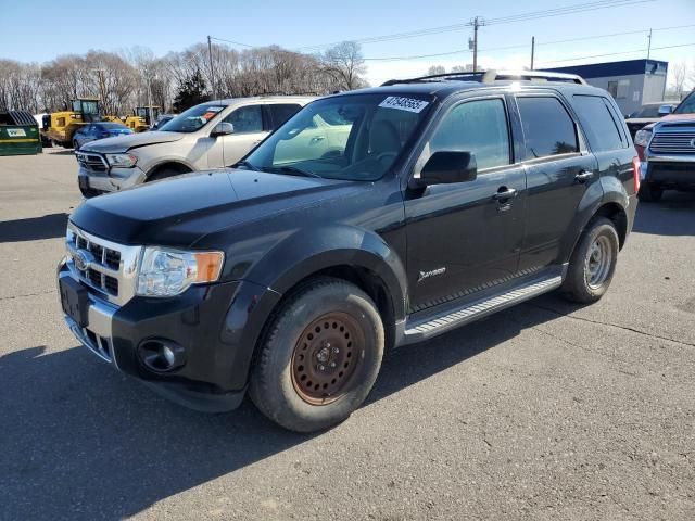 2009 Ford Escape Hybrid