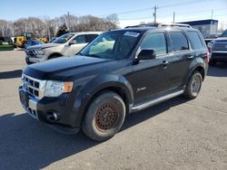 4 X 4 for sale at auction: 2009 Ford Escape Hybrid