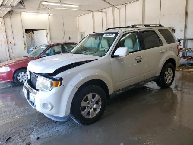 2010 Ford Escape Limited