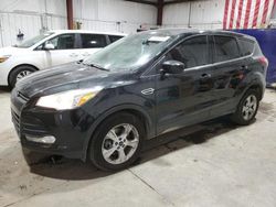 SUV salvage a la venta en subasta: 2014 Ford Escape SE