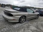 2002 Pontiac Firebird Trans AM