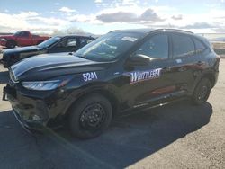 Salvage cars for sale at North Las Vegas, NV auction: 2023 Ford Escape ST Line