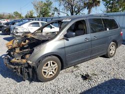 Carros salvage a la venta en subasta: 2006 Honda Odyssey EXL