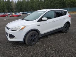 Salvage cars for sale at Graham, WA auction: 2015 Ford Escape SE