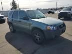 2006 Ford Escape XLT