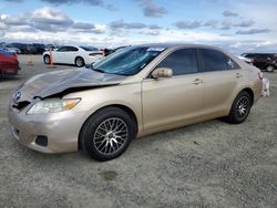 Salvage cars for sale from Copart Antelope, CA: 2011 Toyota Camry Base