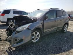 Salvage cars for sale at Spartanburg, SC auction: 2014 Ford Escape SE