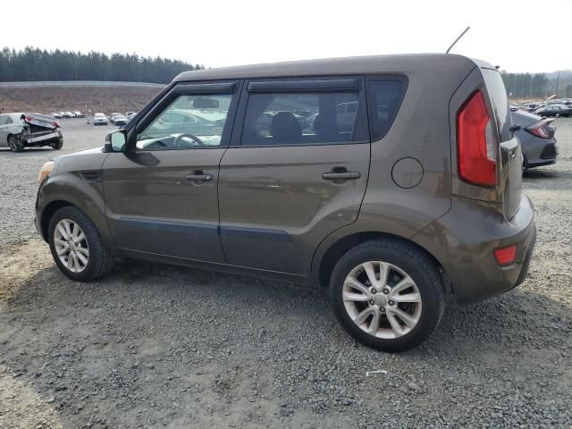 2013 KIA Soul +