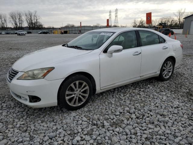 2010 Lexus ES 350