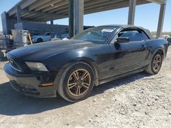 Salvage cars for sale at West Palm Beach, FL auction: 2013 Ford Mustang