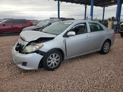 Salvage cars for sale at Phoenix, AZ auction: 2010 Toyota Corolla Base