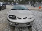 2002 Pontiac Firebird Trans AM