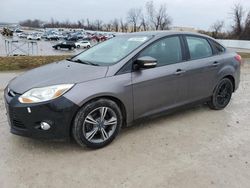 Salvage cars for sale at Bridgeton, MO auction: 2013 Ford Focus SE