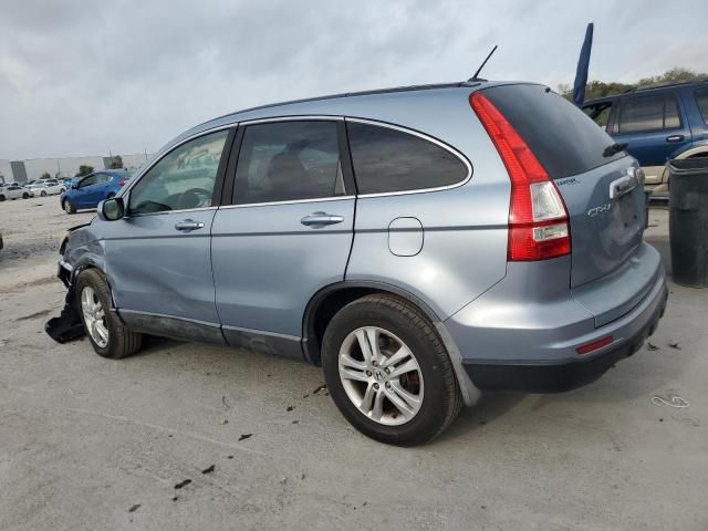 2010 Honda CR-V EXL