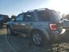 2009 Ford Escape Limited