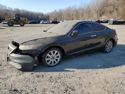 Salvage cars for sale at Marlboro, NY auction: 2009 Honda Accord EXL