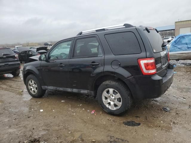 2011 Ford Escape Limited