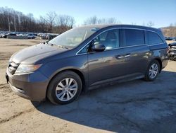 Salvage cars for sale at Marlboro, NY auction: 2014 Honda Odyssey EXL