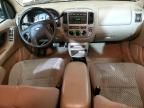 2004 Ford Escape XLT