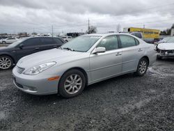 Salvage cars for sale at Eugene, OR auction: 2003 Lexus ES 300