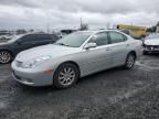 2003 Lexus ES 300