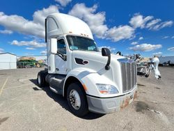 Salvage trucks for sale at Pasco, WA auction: 2016 Peterbilt 579