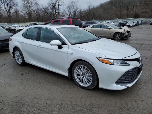 2019 Toyota Camry Hybrid