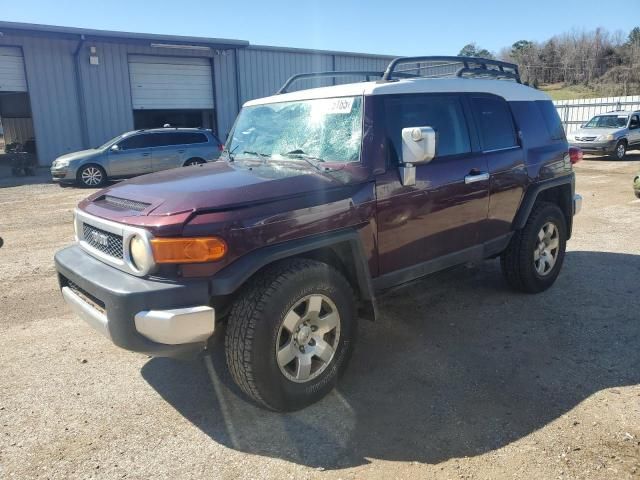 2007 Toyota FJ Cruiser