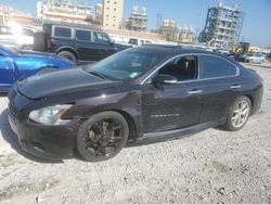 Salvage cars for sale at New Orleans, LA auction: 2011 Nissan Maxima S