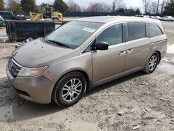 Honda Vehiculos salvage en venta: 2012 Honda Odyssey EXL