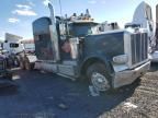 2016 Peterbilt 389 Semi Truck