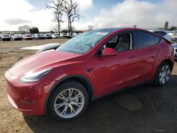 Salvage cars for sale at San Martin, CA auction: 2023 Tesla Model Y